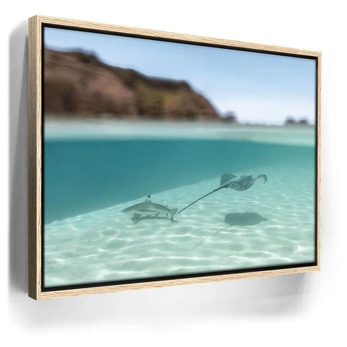 Featured image 9 for Encounter In The Blue - Tahiti