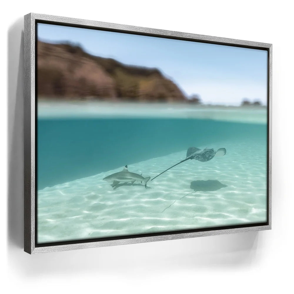 Featured image 8 for Encounter In The Blue - Tahiti