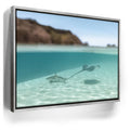 Featured image 8 for Encounter In The Blue - Tahiti