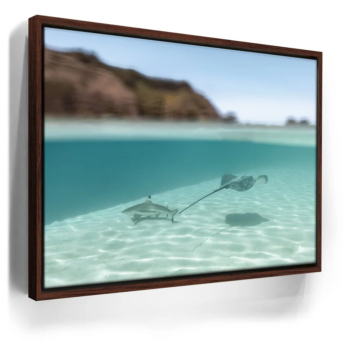 Featured image 10 for Encounter In The Blue - Tahiti