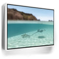 Featured image 6 for Encounter In The Blue - Tahiti