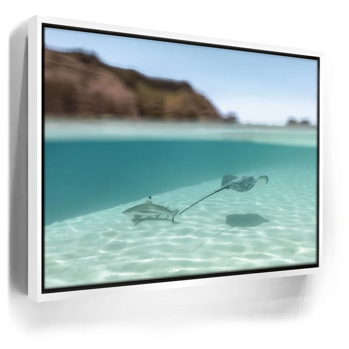 Featured image 6 for Encounter In The Blue - Tahiti