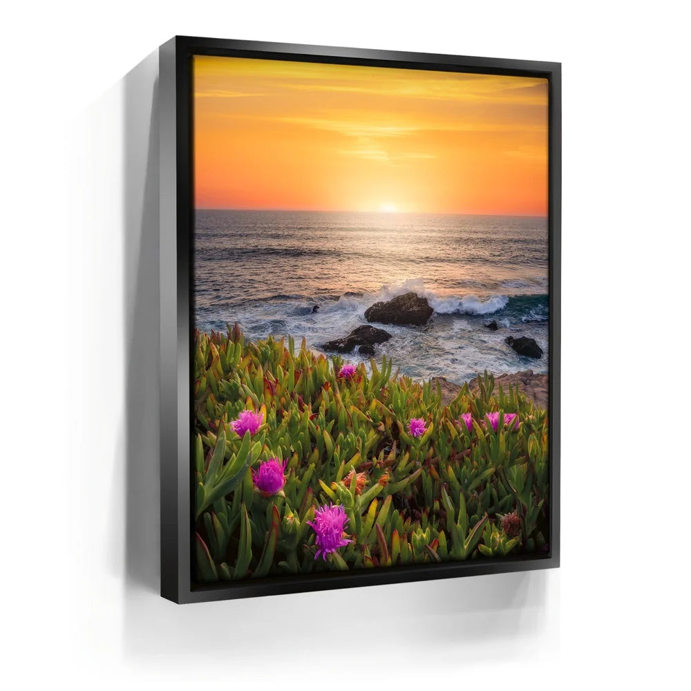 Featured image 5 for Evening Glory - Montara State Beach - Pacifica, CA
