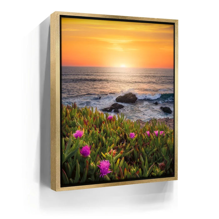 Featured image 7 for Evening Glory - Montara State Beach - Pacifica, CA