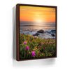 Featured image 10 for Evening Glory - Montara State Beach - Pacifica, CA
