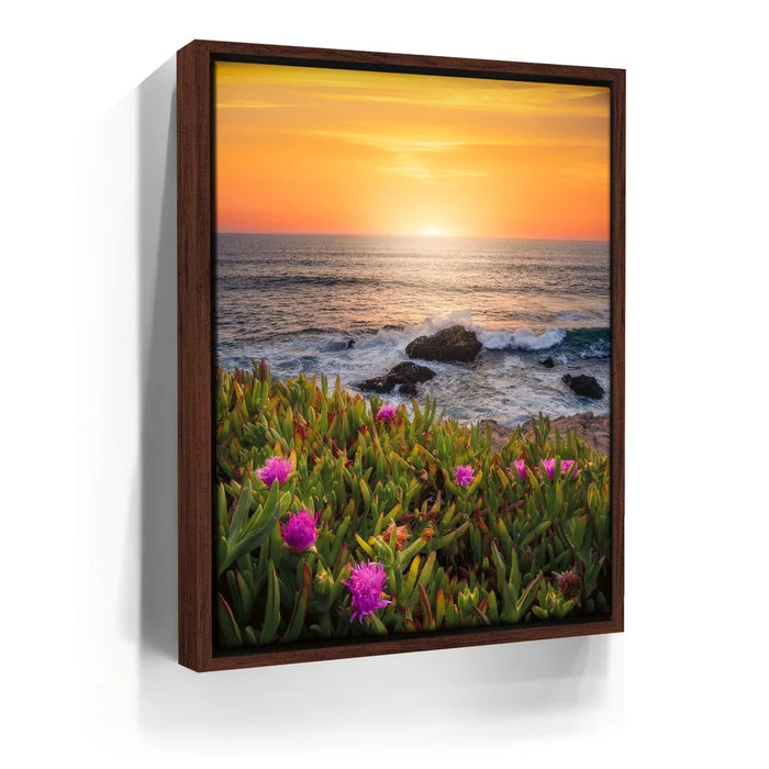 Featured image 10 for Evening Glory - Montara State Beach - Pacifica, CA