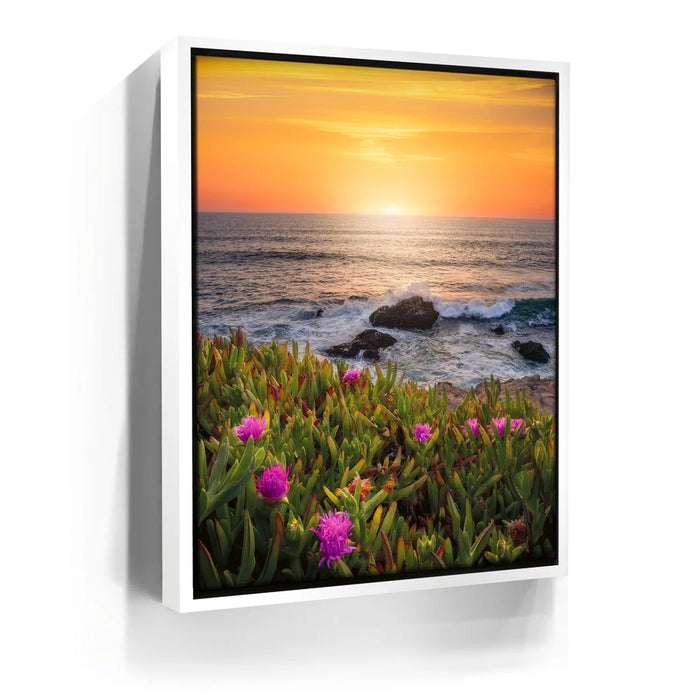Featured image 6 for Evening Glory - Montara State Beach - Pacifica, CA