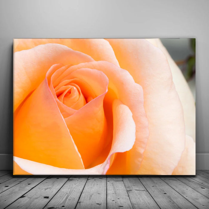 Featured image 1 for Exhale