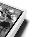 Thumbnail image 13 for Eye of the Tiger - Black & White