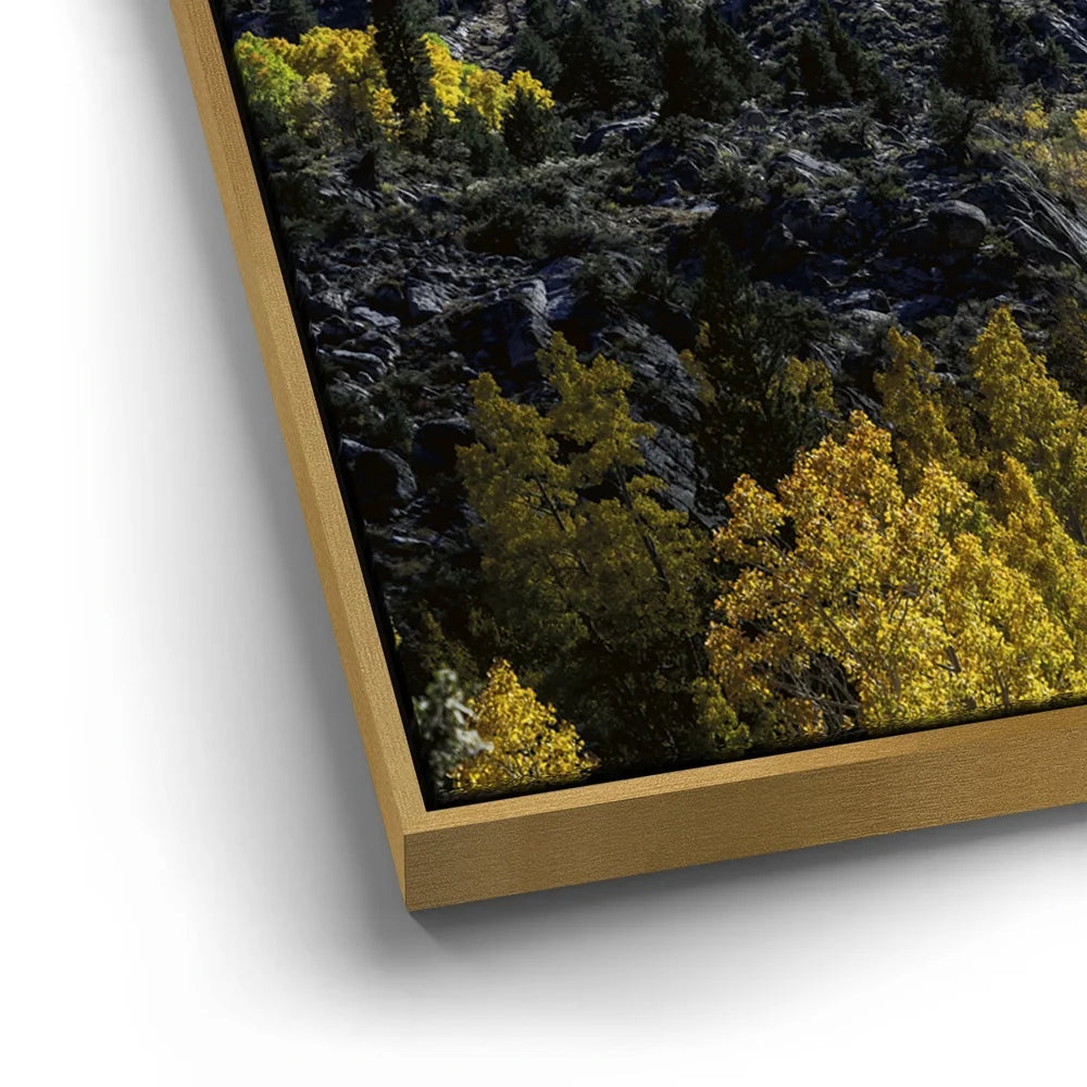 Featured image 12 for Fall Colors Sabrina Basin, Bishop California
