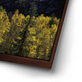 Thumbnail image 14 for Fall Colors Sabrina Basin, Bishop California