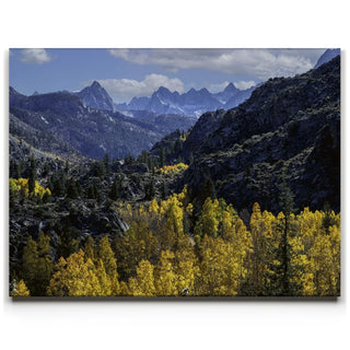 Fall Colors Sabrina Basin, Bishop California