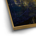 Thumbnail image 12 for Fall Reflections Merced River Yosemite