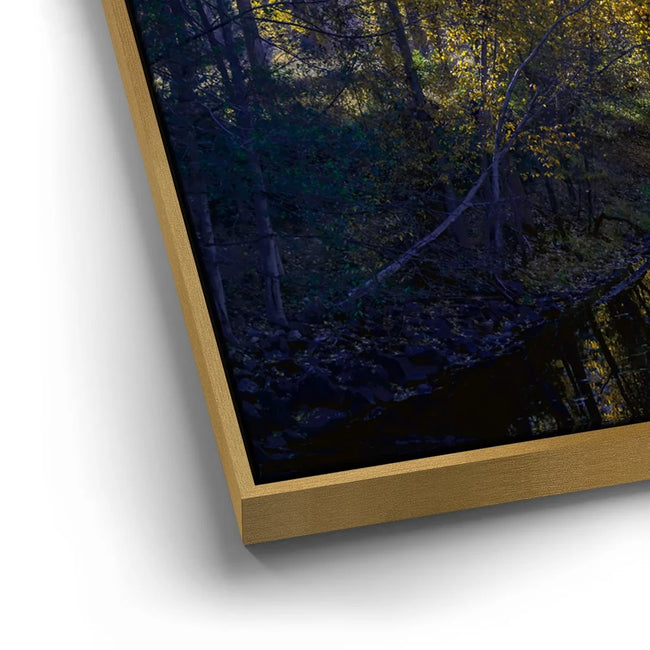 Featured image 12 for Fall Reflections Merced River Yosemite