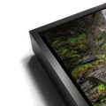 Thumbnail image 11 for Falling