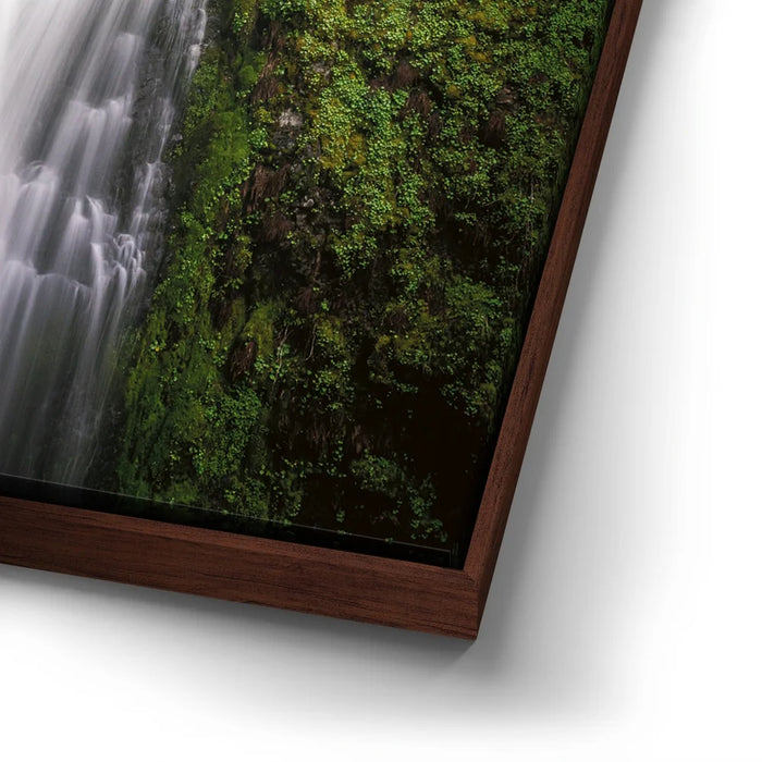 Featured image 14 for Falls Creek Falls