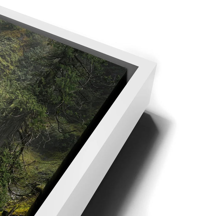 Featured image 14 for Falls Creek Falls