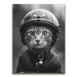Fast and Furry-ous