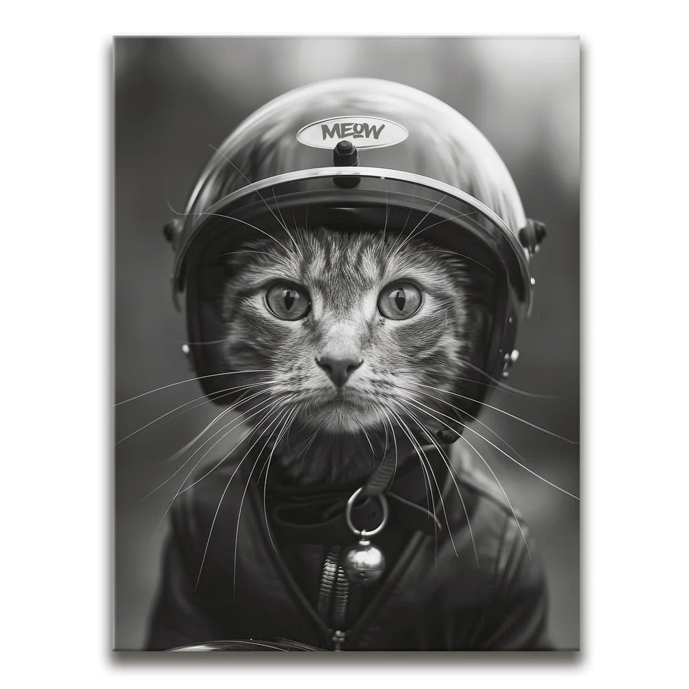 Featured image 1 for Fast and Furry-ous