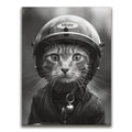 Featured image 1 for Fast and Furry-ous