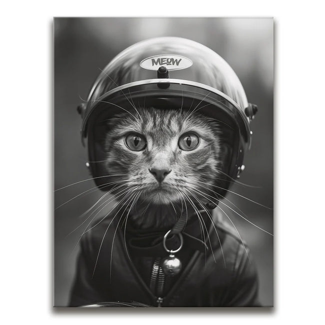 Featured image 1 for Fast and Furry-ous