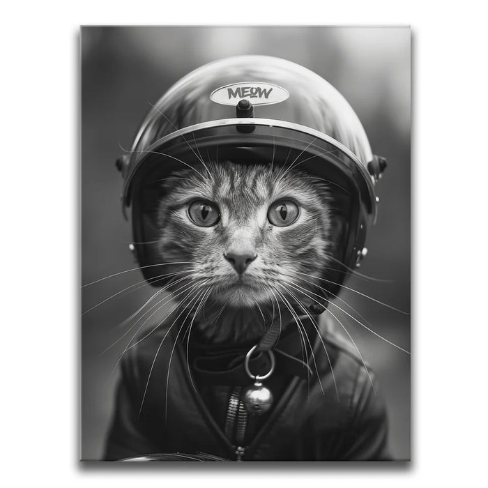 Featured image 1 for Fast and Furry-ous