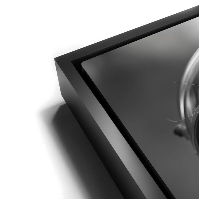 Featured image 12 for Fast and Furry-ous