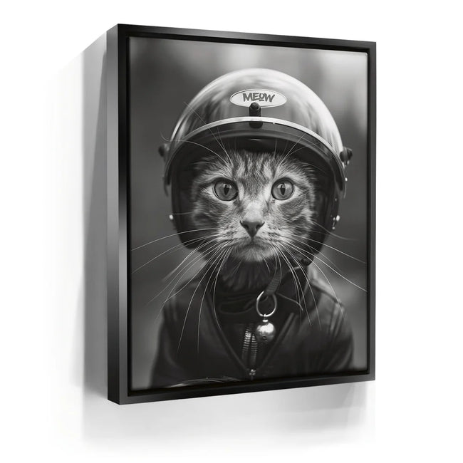 Featured image 5 for Fast and Furry-ous