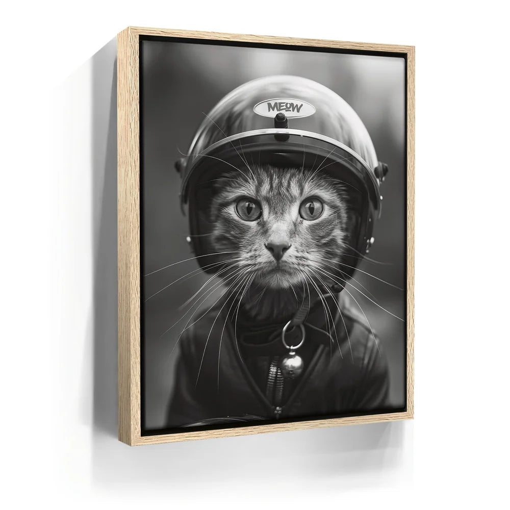 Featured image 9 for Fast and Furry-ous