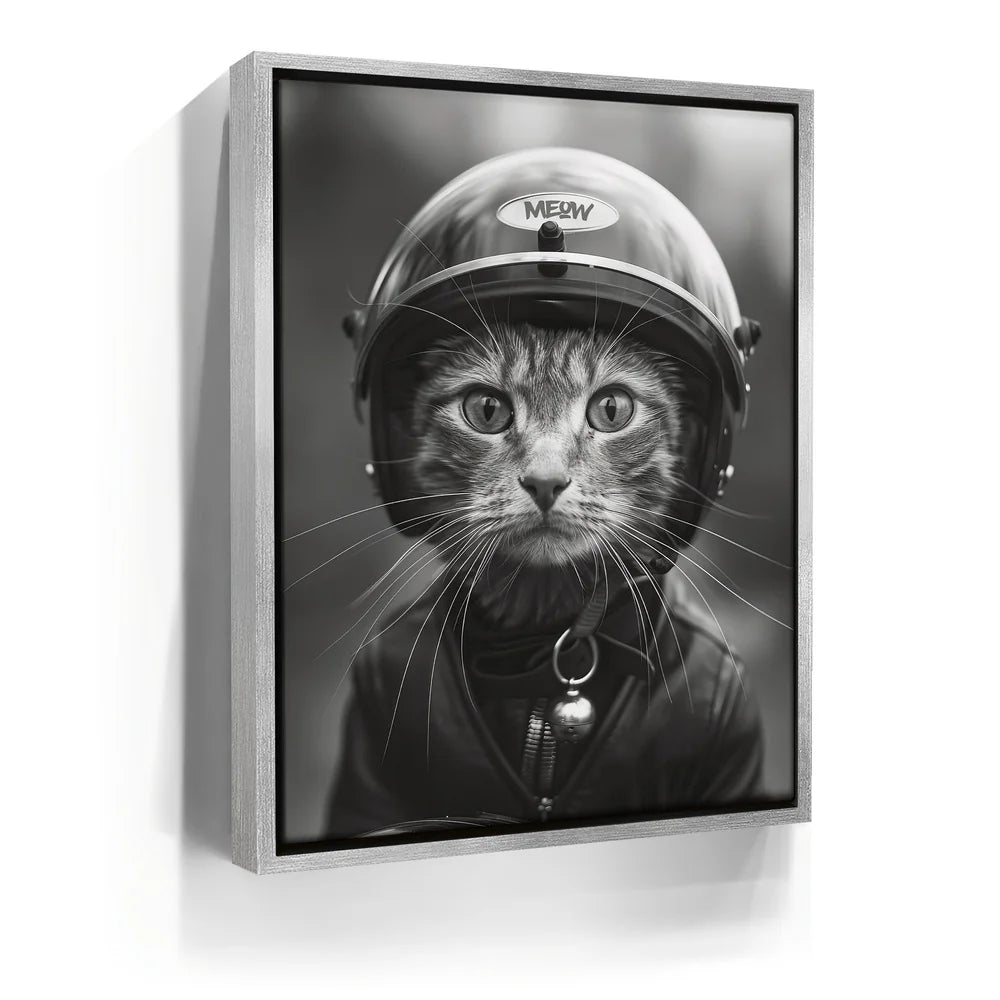 Featured image 8 for Fast and Furry-ous