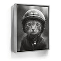 Featured image 8 for Fast and Furry-ous