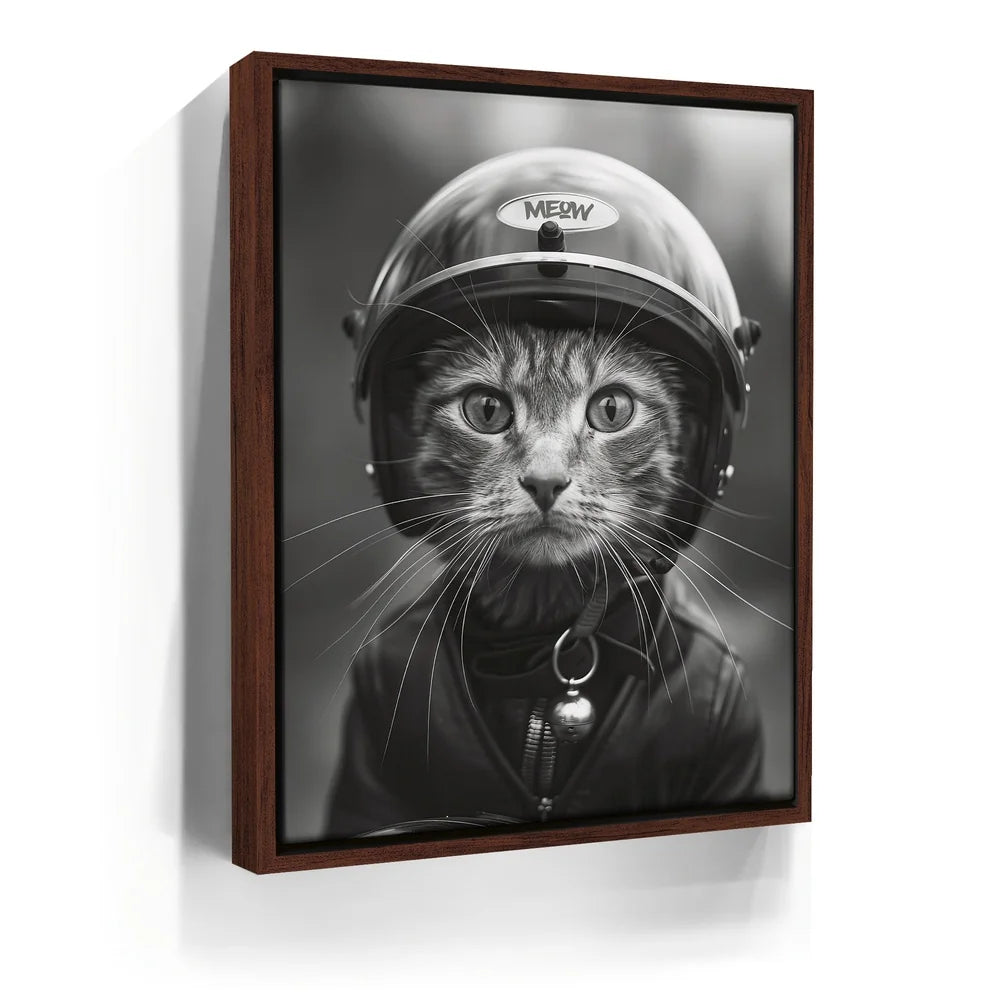 Featured image 10 for Fast and Furry-ous