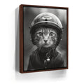 Featured image 10 for Fast and Furry-ous