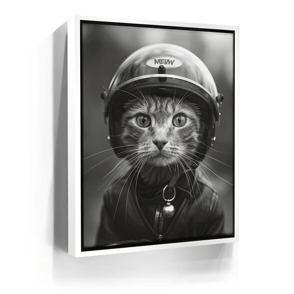 Featured image 6 for Fast and Furry-ous