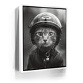 Featured image 6 for Fast and Furry-ous