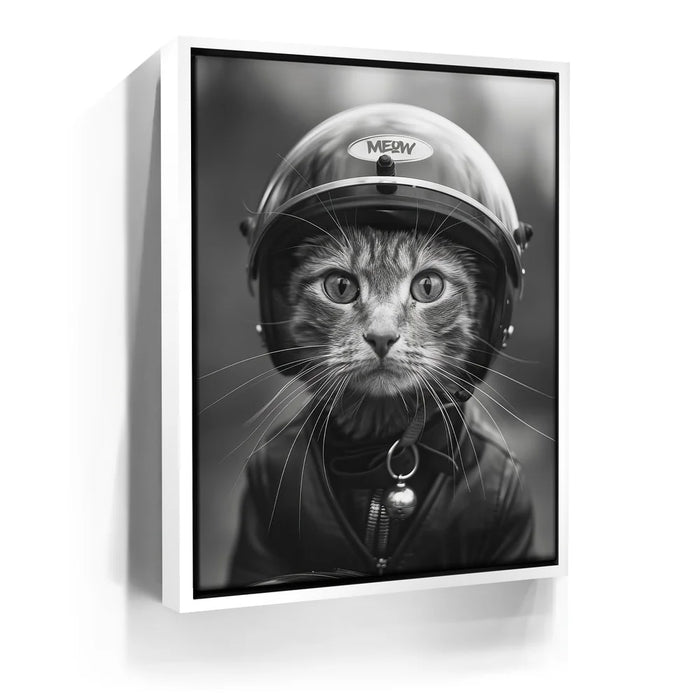 Featured image 7 for Fast and Furry-ous