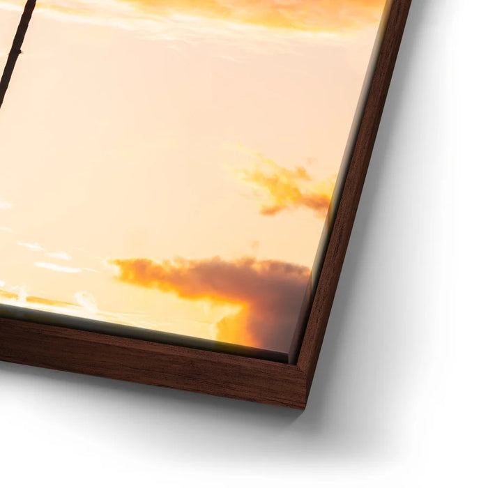 Featured image 14 for Fire Palm