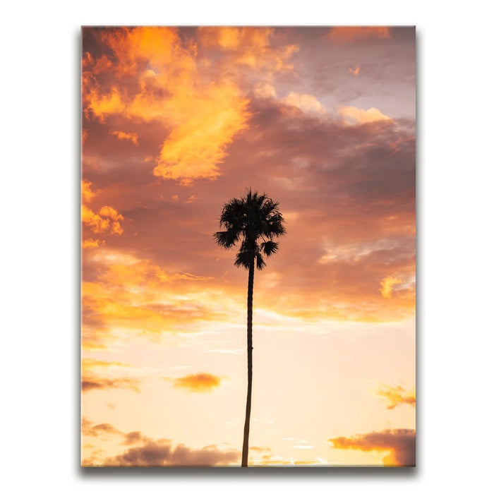 Featured image 1 for Fire Palm