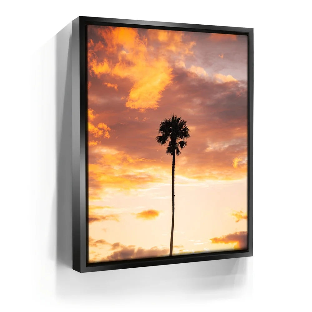Featured image 5 for Fire Palm