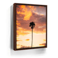 Featured image 10 for Fire Palm