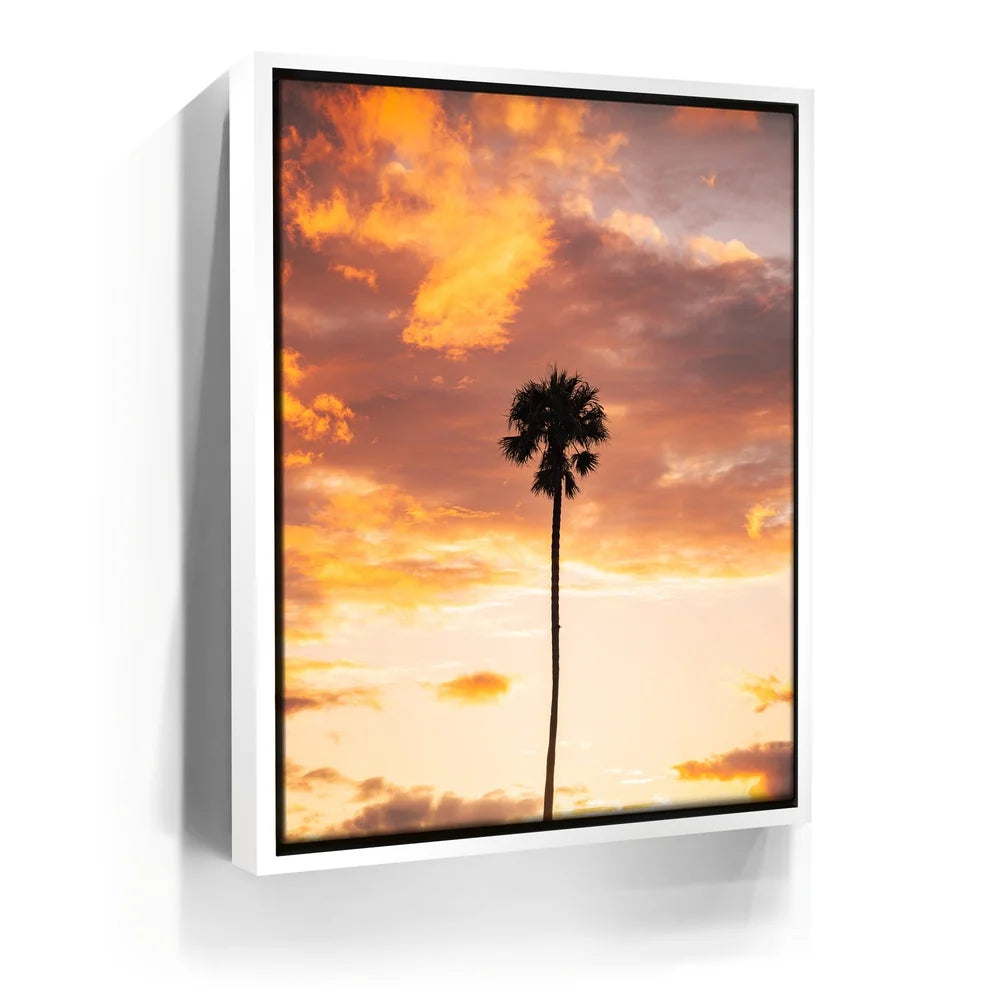 Featured image 6 for Fire Palm