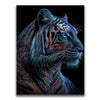 Featured image 1 for Fire Tiger