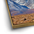 Thumbnail image 13 for First Snow on the Sierra