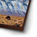 Thumbnail image 15 for First Snow on the Sierra