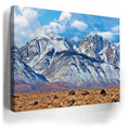 Thumbnail image 3 for First Snow on the Sierra