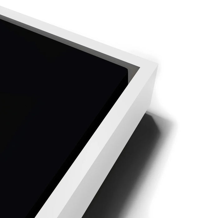 Featured image 13 for Floral Voyager