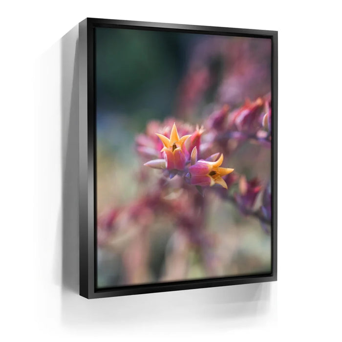 Featured image 5 for Flowerkiss, California