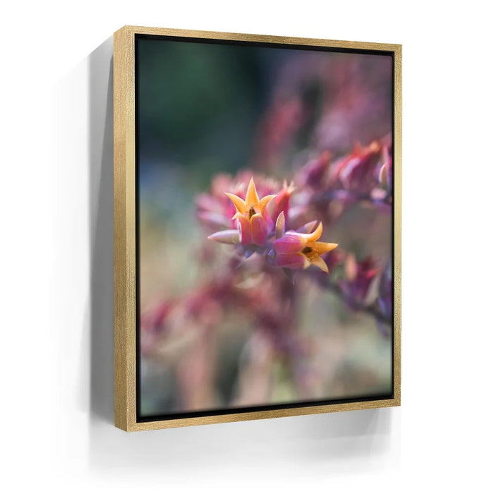 Featured image 7 for Flowerkiss, California