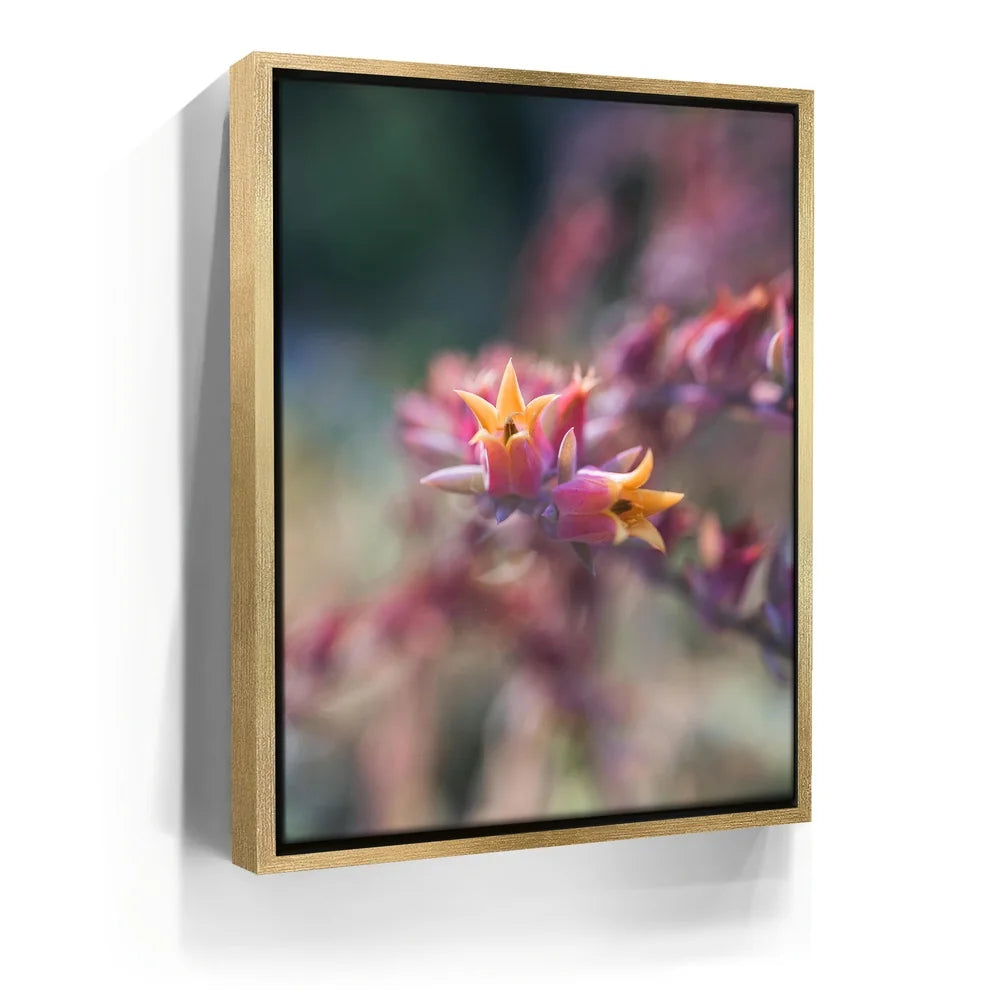Featured image 7 for Flowerkiss, California