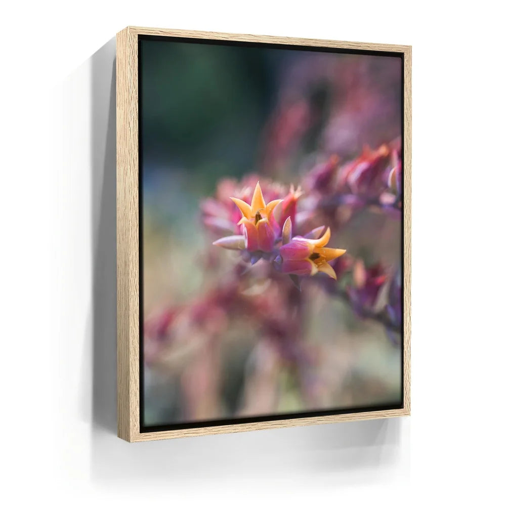 Featured image 9 for Flowerkiss, California